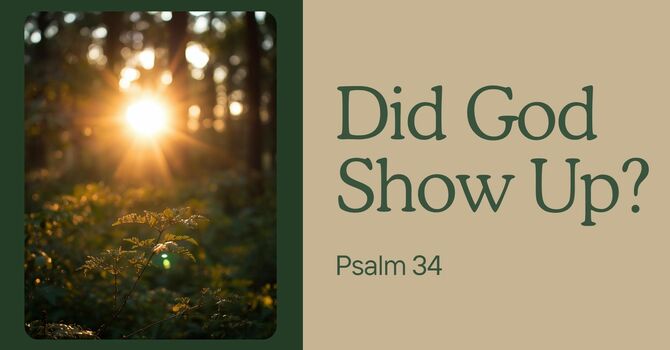 Did God Show Up?