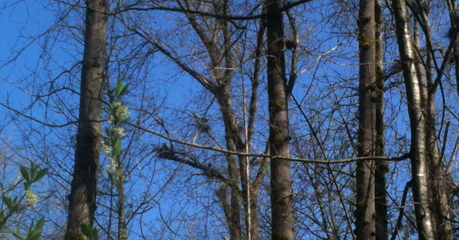 Do The Work (Quietly) image