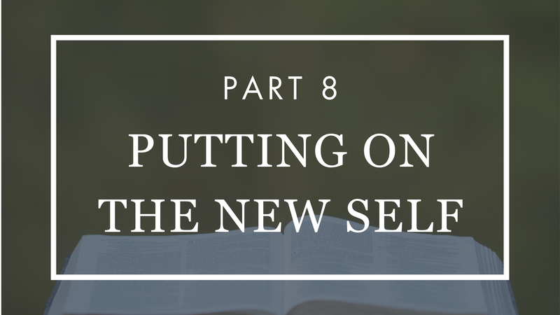 Putting On the New Self - Part 8