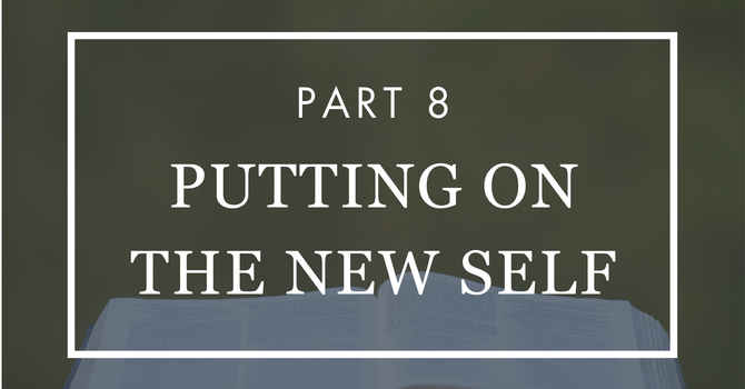 Putting On the New Self - Part 8