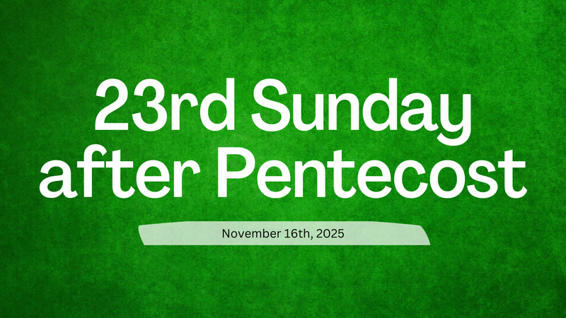 Sermon Reflection by Pam