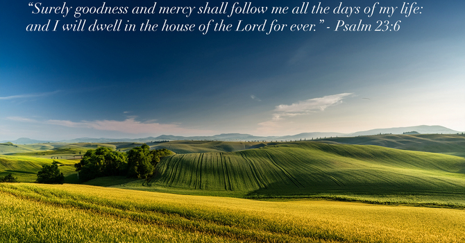 Surely Goodness and Mercy image