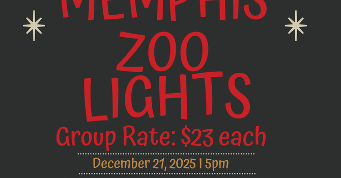 St. Paul at Zoo Lights