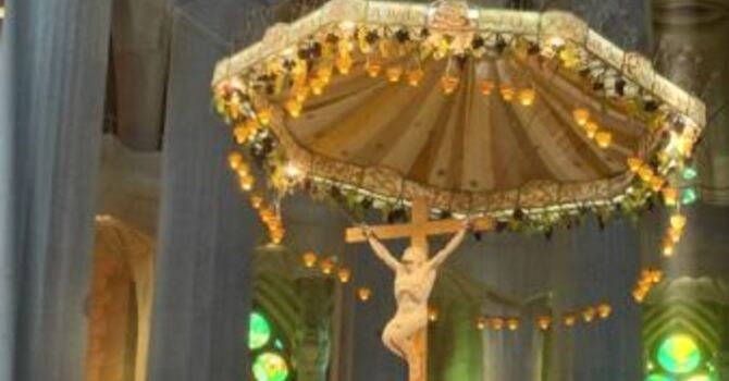 Worship Sunday, November 23, 2025