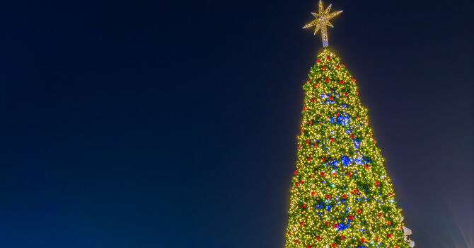 Christmas Tree Lighting
