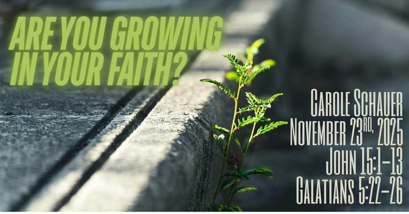 Are You Growing in Your Faith?