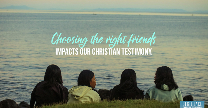 “THE ROOT OF MEANNESS” image