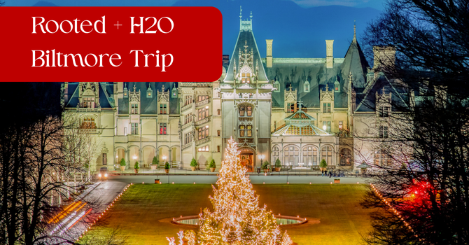 Rooted & H2O Biltmore Activity