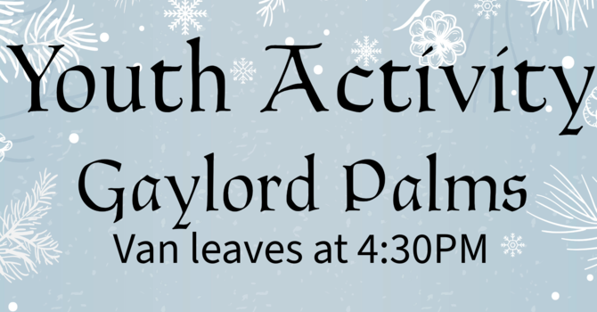 Youth Activity