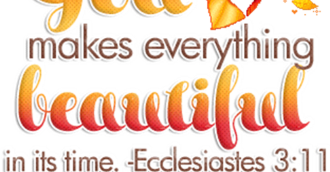 September 2025 image