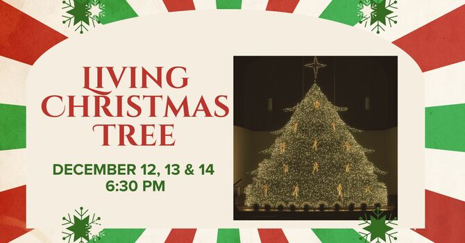 Living Christmas Tree