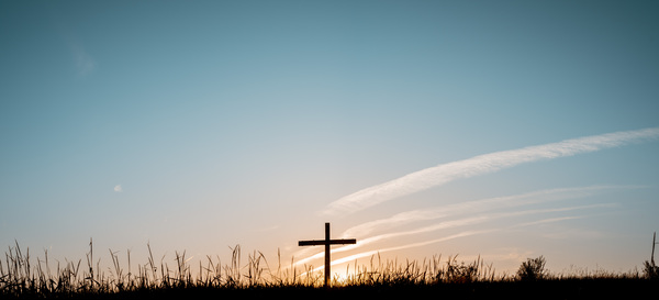 Sample Series