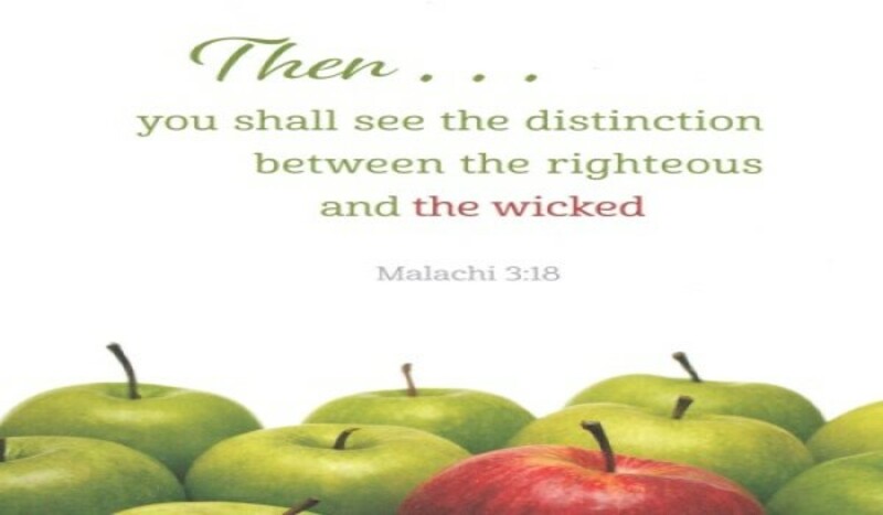 Last Sunday of the Church Year