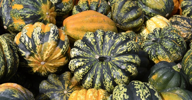 November 25, 2025 Devotion image