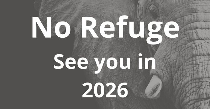 No Refuge- See you in 2026