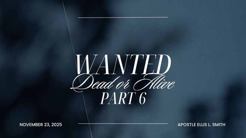 Wanted Dead or Alive Part 6