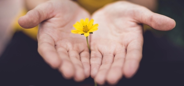 Finishing the Year in Gratitude