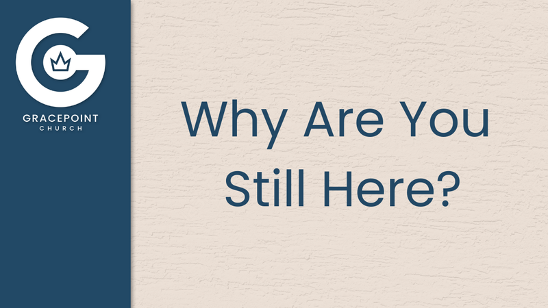 Why Are You Still Here?