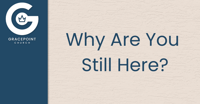 Why Are You Still Here?