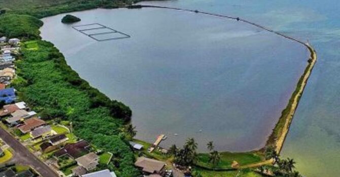 Paepae o He'eia Volunteering