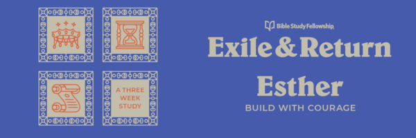 Bible Study Fellowship Mini Study