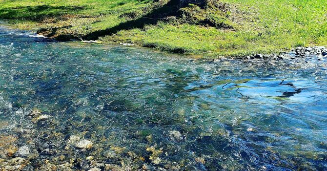 A Friend Closer Than A Brother image