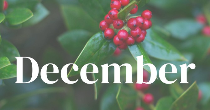 December Newsletter image