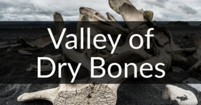 Valley of Dry Bones