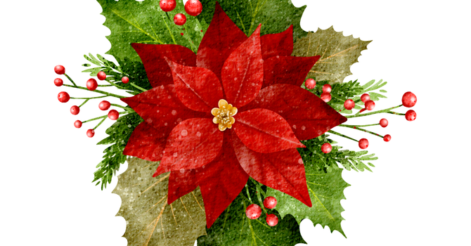 Flower Drop Off for Christmas 