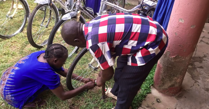 Bicycles for IBBA image