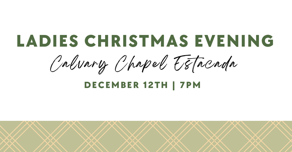 Ladies Christmas Evening