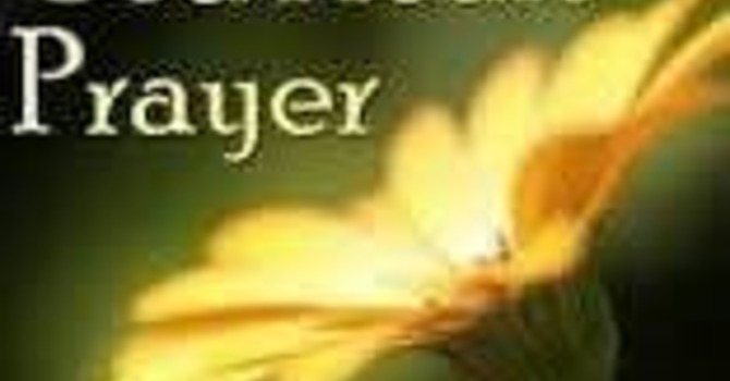 Meet The CBDWA President image