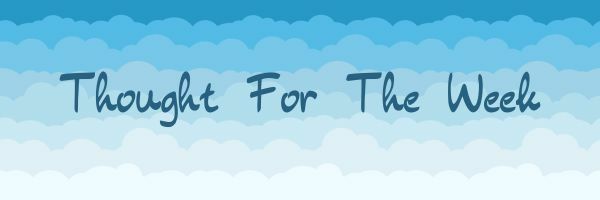 November 23 - November 29