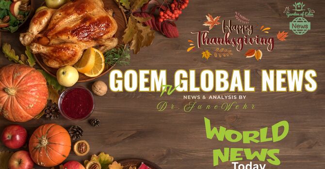 DC Shooting, Trump to Install 500 more Soldiers in DC, Stimulus Checks, & More