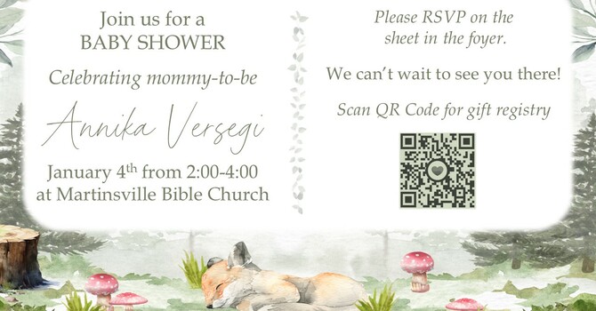 Baby Shower: Annika Versegi