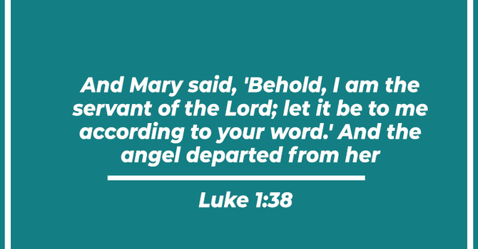 News for Nov 28, 2025 image