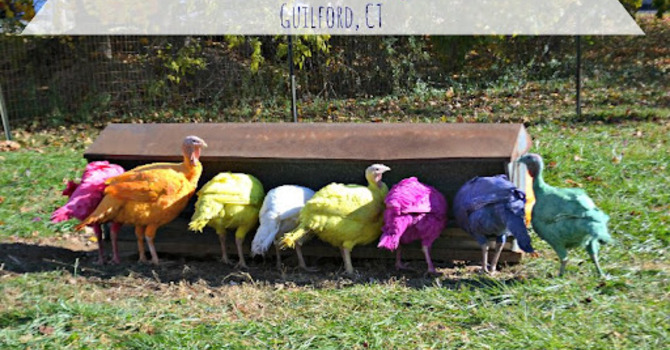 A Note from Pastor Madeline image