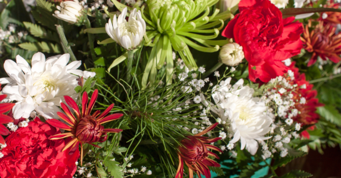 Christmas Flower Campaign is On Now image