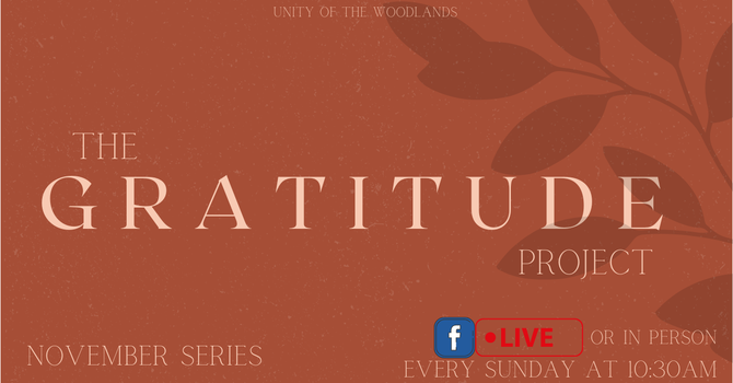 More Gratitude Less Attitude