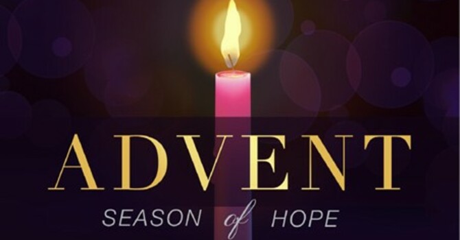 Bulletin Nov 30 image