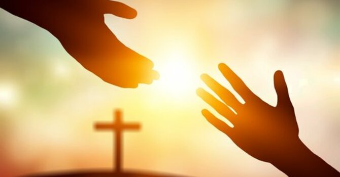 Service Project - Emergency Food Box Packing