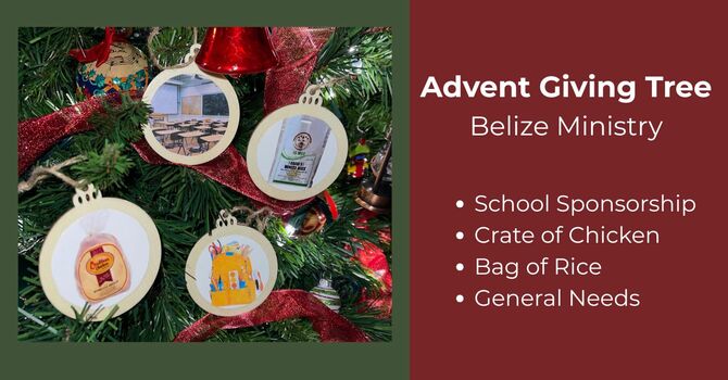 Advent Giving Tree