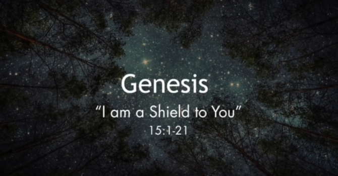  I am a Shield to You