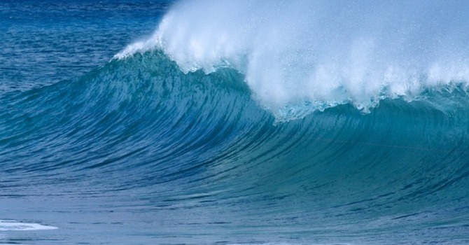 November 29, 2025 Devotion image