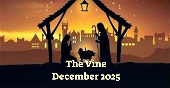December Vine image
