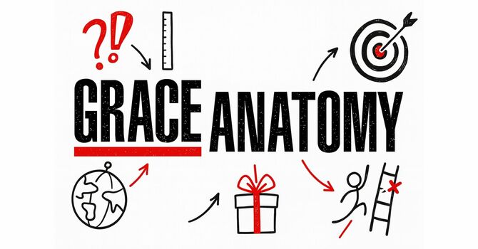 Grace Anatomy