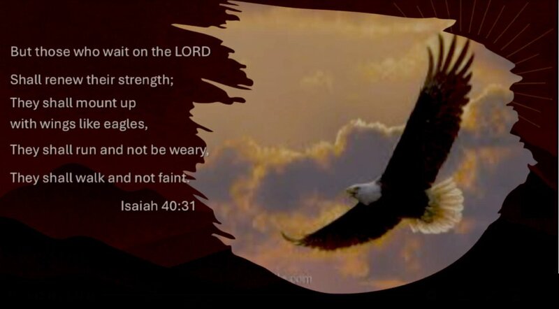 Why Settle, Suffer, or Sour... when You can Soar...