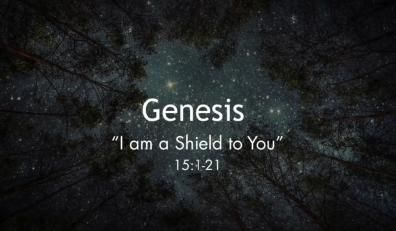  I am a Shield to You
