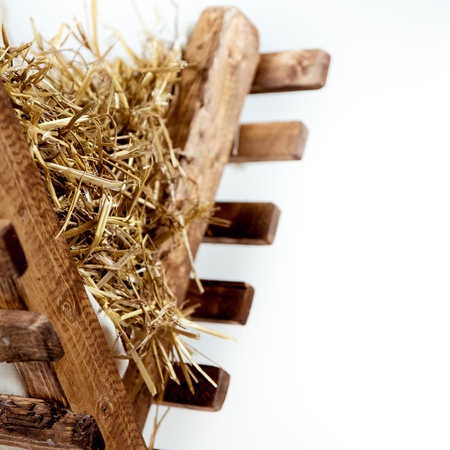 Advent Series: Behold a Saviour is Born