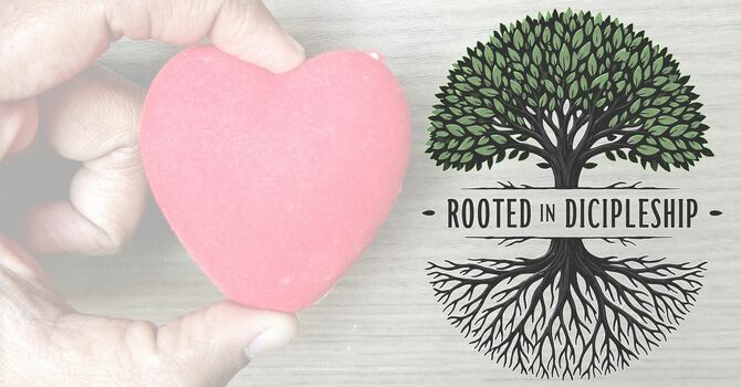 Becoming a Community That Shepherds image